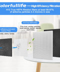 Two Pack 116130 Replacement Filter H for Winix 5500-2 Air Purifier True HEPA Filter and Activated Carbon Filter Combo Pack