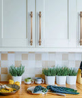 10 Pack Brushed Brass Cabinet Pulls Featuring Seven Point Five Inch Center To Center Spacing on white cabinets with plants.