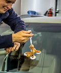 Man using Windshield Chip Repair Kit for Quick Fix and Crack Stop Auto Glass Repair Tool on car windshield
