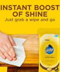 Expert Care Lemon Scent Wood Wipes For Polishing And Protecting Wood Furniture And Surfaces No Spray Convenience Pack Of 6 With 144 Total Wipes Yellow package and hand using wipe on wood.