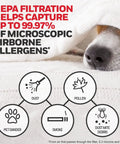 Graphic showing a dog next to HEPA filter benefits, highlighting allergen capture like dust, pollen, pet dander, and smoke.