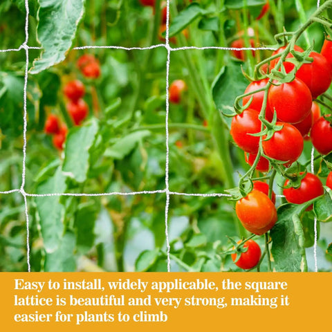 Heavy Duty Garden Trellis Netting 5 By 15 Feet Polyester Nylon Square Mesh For Climbing Plants Fruits Vegetables And Vines