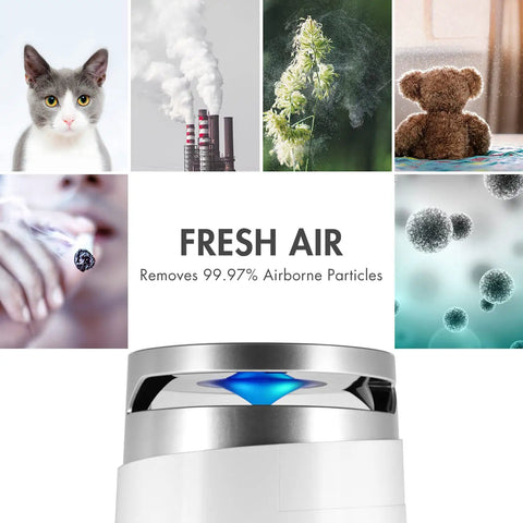 Collage showing allergens blocked by H13 Grade HEPA Replacement Filter for Renair Air Purifier with True HEPA, Pre Filter, Activated Carbon
