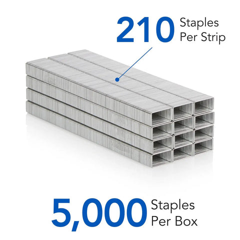 Dang Tough Standard Size Staples With Razor Sharp Chisel Points For Quick Paper Piercing And Dependable Daily Office Tasks With Smooth Feeding And Zero Jamming Headaches, 5,000 staples in a box.