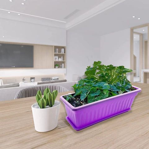 Four Pack Rectangular Window Flower Box Planters With Trays For Balcony Windowsill Garden Durable Eco Friendly Plastic Great For Flowers Herbs And Small Vegetables 16.8 Inch Long, indoor use with green plants.