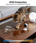 Cat near 2K Indoor Outdoor Security Cameras Bundle for Home Surveillance, showing IP65 water resistance on wooden coffee table.