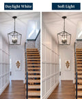 Four Light Black Farmhouse Chandelier With Industrial Metal Cage Adjustable Height Rustic Hanging Light in hallway