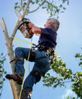 Top Shelf Half Inch By 120 Foot Arborist Rope Delivering Bone Hard 9000 Pound Static Strength And Killer Grip For Real Deal Tree Care Rigging And Canopy Operations Daily being used by a climber cutting branches.