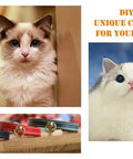 A fluffy cat with blue eyes beside DIY unique collars for pets, showcasing colorful fasteners and designs.