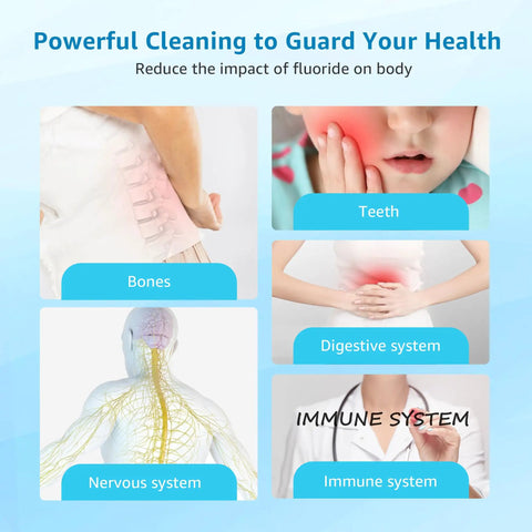 Illustration of fluoride impact on bones, teeth, digestive, nervous, and immune systems for Top Notch Fluoride Filter Replacement.