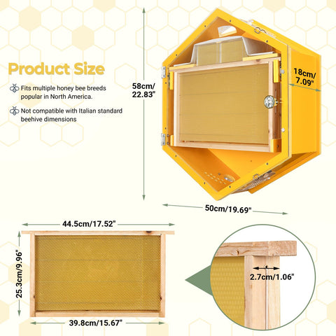 Wall-mounted hexagon beehive showing clear acrylic window and dimensions, part of Observation Beehive Starter Kit with 3 frames and 6 trays.