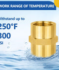 Ten Pack Brass Pipe Fittings Coupling One Half Inch NPT Female To One Half Inch NPT Female Withstanding 250°F Image