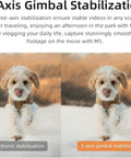 Comparison of electronic stabilization and 3-axis gimbal stabilization with dog running, highlighting improvements with Handheld Camcorder With 3 Axis Stabilization For Smooth Pro Grade Shots 5K 30fps And 4K 60fps Recording 3.5 Inch Rotating Touch Screen IR Night Vision WDR Face Tracking 120 Degree Wide Angle YouTube Ready With 64GB Card Included.