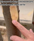 Cordless Angle Grinder For Fruit Trees And Orchard Wood Zero Cord Drama Heavy Duty Copper Motor Bark Stripper used on tree bark.