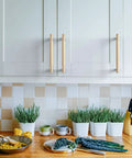 Top Shelf 10 Pack 5 Inch Gold Knurled Cabinet Pulls With 128mm Mounting Holes, modern kitchen cabinetry with gold pulls.