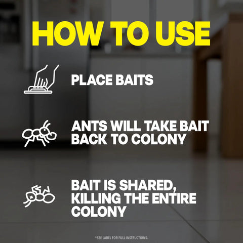 Instructions for using Pro Grade Indoor Ant Colony Buster Bait Stations for effective colony eradication.
