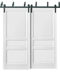 Heavy Duty Barn Bypass Sliding Closet Doors 64 By 96 Inches With No Sweat Installation And Rolls Like Butter glass panels on track