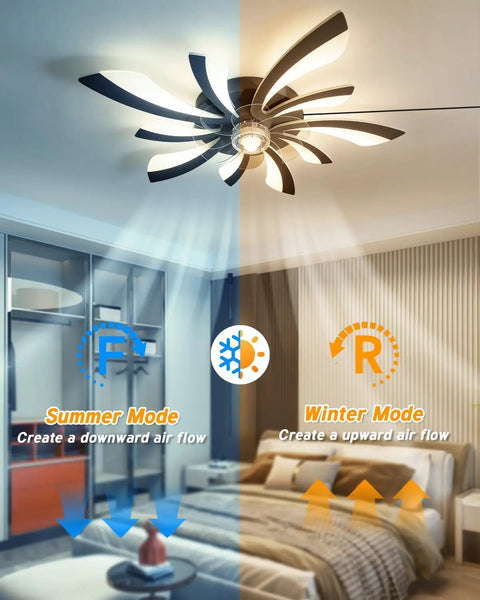 Plug-in ceiling fans with lights and remote,low profile 3 colors Dimming showing summer and winter modes with air flow directions.