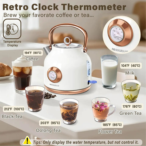 1.7L Stainless Steel Electric Kettle With Big Temperature Gauge And LED Indicator, 1500W Fast Boil For Quick Tea Or Coffee, White