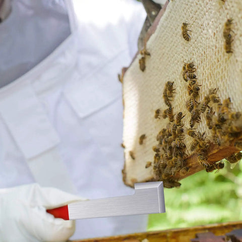 Beekeeping Starter Kit With J Hook Hive Tool, Beehive Brush, Frame Lifter And Scraper in use lifting a bee frame