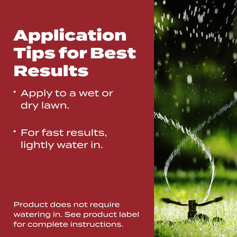 Application tips for Fall Lawn Fertilizer Sets Up Solid Roots For Serious Recovery From Summer Slump And Heat Stress.