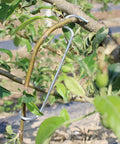 Fruit Tree Limb Spreader Kit 20 Pieces Open Angle Branch Separators for easy branch spacing and training of young fruit branches.