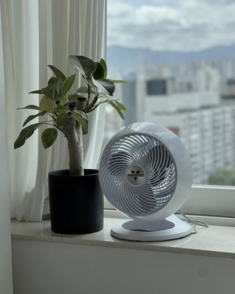 Slip Into Cool Vibes With Slick White Whole Room Air Circulator Fan harnessing heavy duty vortex airflow, placed by a window.