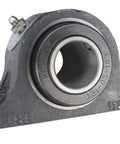 Straight Up Heavy Duty Twin Bolt Pillow Block Bearing For 1 1/4 Inch Shaft gray iron housing and bearing design.