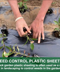 Person installing Heavy Duty Black Plastic Sheeting 4 Mil Weed Barrier for Gardens and Landscaping as plant protection