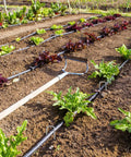 12 Inch Galvanized Garden Landscape Staples Heavy Duty 11 Gauge Ground Stakes securing irrigation hoses in vegetable garden
