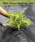 Planting on Heavy Duty Weed Barrier Fabric 3ft By 100ft Ground Cover For Garden Yard Pathways, 3.2oz Woven Weed Cloth with green guidelines