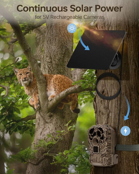 Dual Pack Six Watt Solar Charging Panels For Outdoor Security Cameras Built Like A Tank With Ip67 Weatherproof Housing And 360 Degree Swivel Mount For Hassle Free Plug And Play Surveillance Setup mounted on tree near a camera with wildlife.