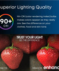 Comparison of strawberries under low CRI and high CRI lighting, showcasing the benefits of 4-Inch LED Recessed Downlight Retrofit Kit With Pre-Mounted Trim And Standard Base Adapter 2700K Soft White Dimmable 75W Equivalent High Output 6 Pack.