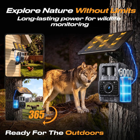 Kickass Solar Trail Camera With No Sweat WiFi And Bluetooth Hookup 4K Night Vision Footage attached to a tree, monitoring wildlife.