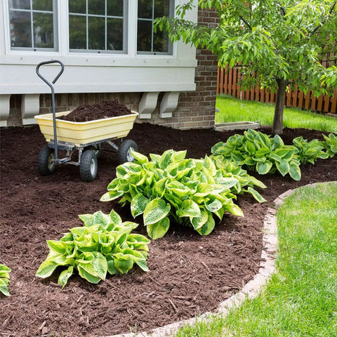 Garden with mulch and plants, featuring Heavy Duty Weed Barrier Landscape Fabric 3.2oz Premium Ground Cover Mat installed.