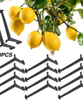 100 Pack Black Fruit Tree Limb Spreaders For Strong Branch Spreading And Crotch Angles Plastic Bonsai Trunk And Stem Trainer Tools For Potted Trees And Small Orchard Plants, shown installed on a lemon tree.