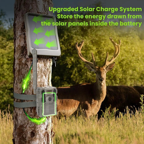 Kickass Rechargeable Lithium Ion Batteries With Four Port Quick Charger Built For Reveal Trail Cameras Ultra X Gen 3 Pro XB Fit the Bill Power Bundle mounted to a tree with solar panel and deer in background.