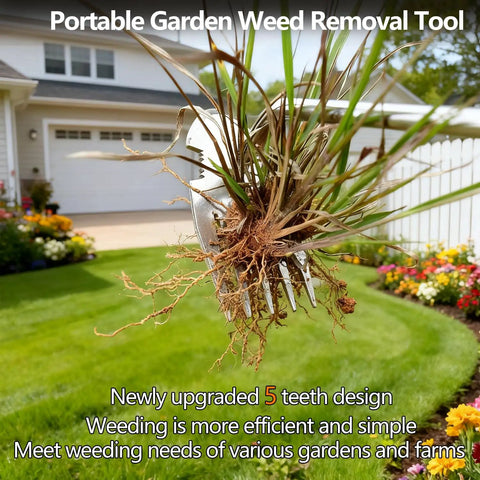 Five Teeth Weed Puller Tool With Rubber Handle Upgraded Stainless Steel Hand Weeder for Garden and Yard shown with pulled weed