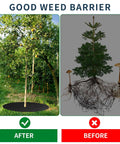 Comparison of tree with and without 8 Pack 32.2 Inch Non Woven Tree Mulch Ring Thickened Tree Mat Protector Reusable Weed Barrier.
