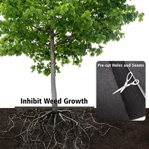 Tree with 32.5 Inch Nonwoven Tree Mulch Ring Six Pack Reusable Weed Barrier Mat Degradable for root protection and weed control.