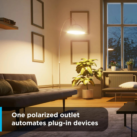 24 Hour Mechanical Timer Outlet 2 Pack Plug In Schedule Switch With No Hassle Pushpin Setup For Daily Automation And Steady Energy Savings Without Any Tech Headaches Or Complicated Apps in a cozy living room setup.