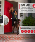 Built Heavy Duty Keyless Entry Electronic Keypad Deadbolt With Auto Lock Mode And Custom User Codes In Matte Black Contemporary Finish for secure home access by a woman and dog.