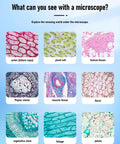 Microscopic images of onion, plant, human tissue, poplar stems, muscle, floral, vegetative stem, foliage, petals showcased.