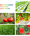 PH Up and Down Control Kit with 9oz and 9oz Buffer Solutions for Hydroponics, shown with various plants in hydroponic setups.