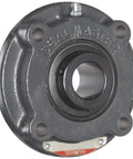 Built Tough Piloted Flange Bearing With Rugged Cast Iron Housing Four Bolt Mount And Felt Seals One Point Two Five Inch Bore close-up view.