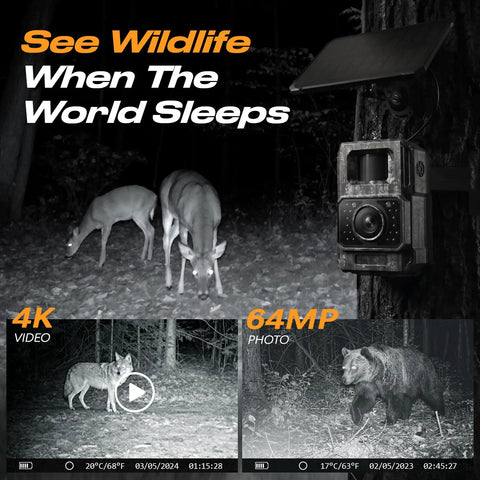 Kickass Solar Trail Camera With No Sweat WiFi And Bluetooth Hookup 4K Night Vision Footage, deer at night and camera in background.
