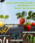 Six Foot By Three Hundred Foot Premium Weed Barrier Landscape Fabric 3.5oz Heavy Duty Garden Ground Cloth With Superior Permeability Weed Control Includes Ninety Staples For Fast No Frills Setup with strawberries and water illustration