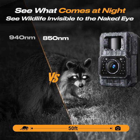 Kickass Solar Trail Camera With No Sweat WiFi And Bluetooth Hookup 4K Night Vision Footage with raccoon in darkness.
