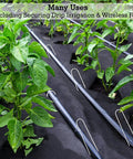 6 Inch Landscape Staples 9 Gauge Galvanized Steel Ground Cover Pins securing drip irrigation in garden