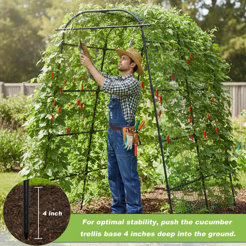 Man adjusting Super Sturdy 7 Foot Garden Arch Trellis For Climbing Plants In Backyard Raised Beds Heavy Duty Coated Metal Arbor With Cucumber Vines